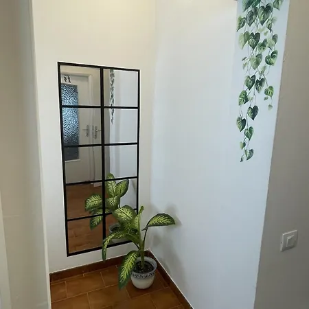 Calma Apartment Modena